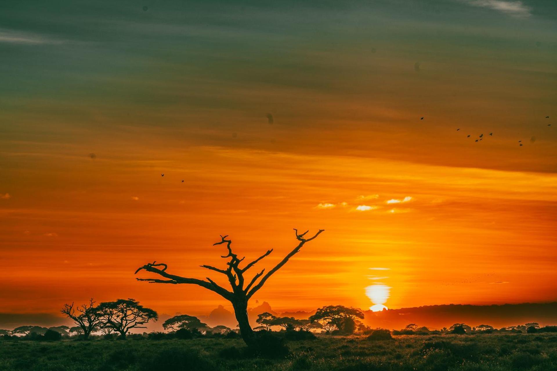Kilimanjaro View Cabin-Amboseli Oloitokitok Phòng bức ảnh
