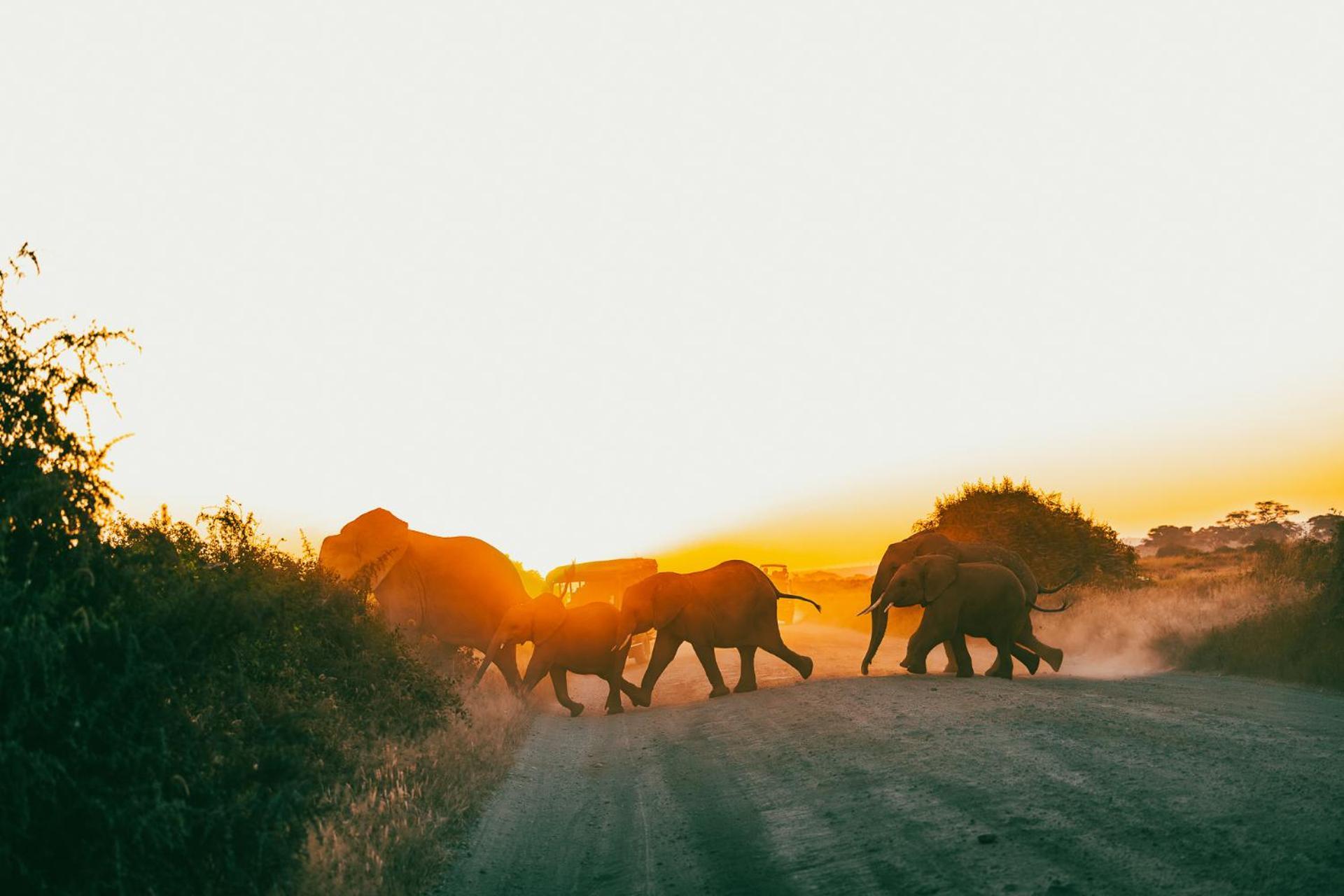 Kilimanjaro View Cabin-Amboseli Oloitokitok Phòng bức ảnh
