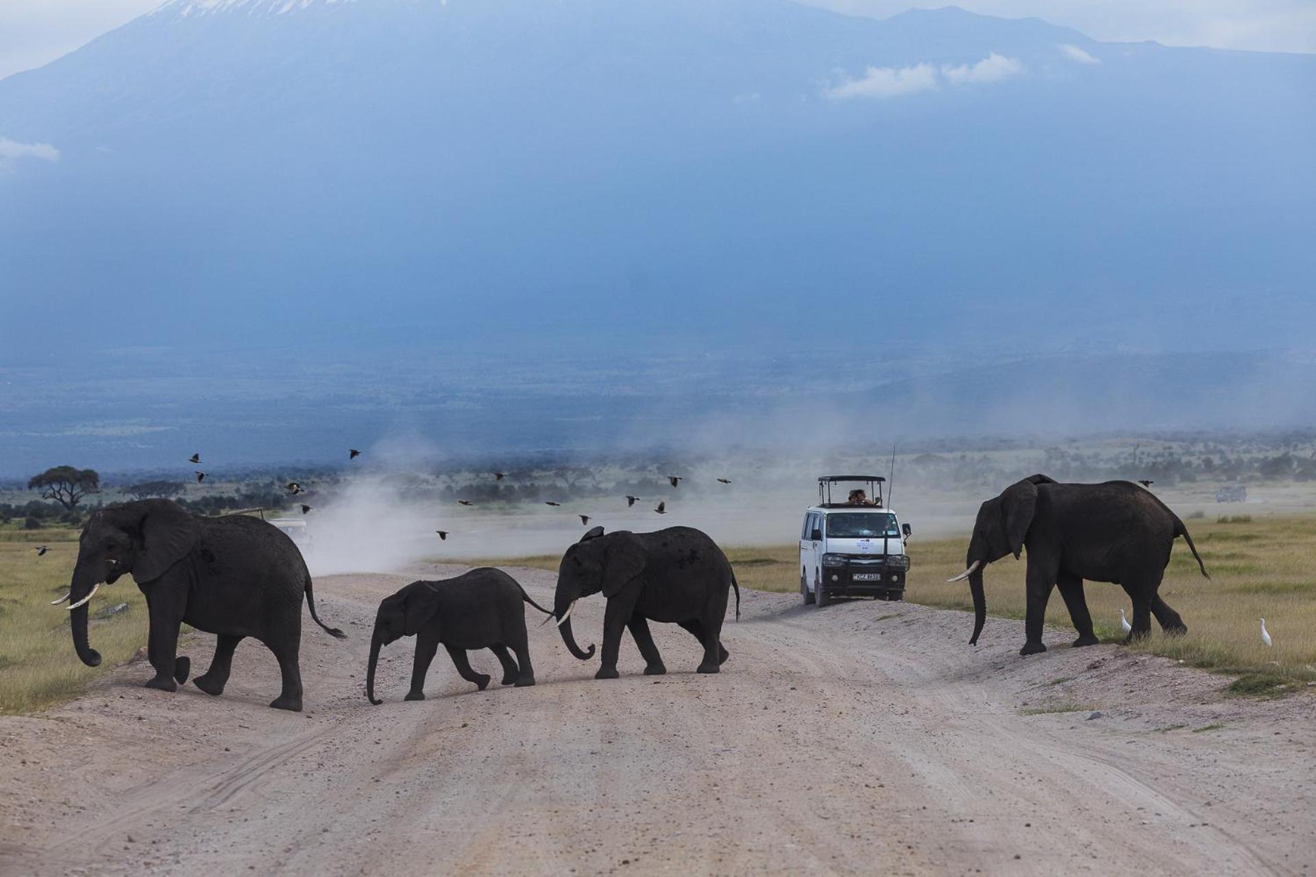 Kilimanjaro View Cabin-Amboseli Oloitokitok Phòng bức ảnh